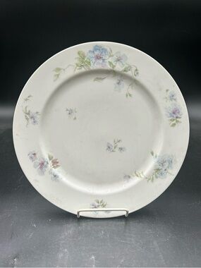 Haviland Limoges France Plate with blue and Green Floral, plate wall